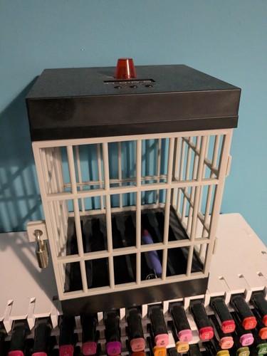 Cell phone jail - with, timer